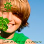 Солнце в IX поле гороскопа