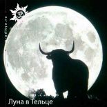 Луна в Тельце