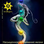 Насыщенное проживание жизни