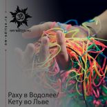 Раху в Водолее / Кету во Льве